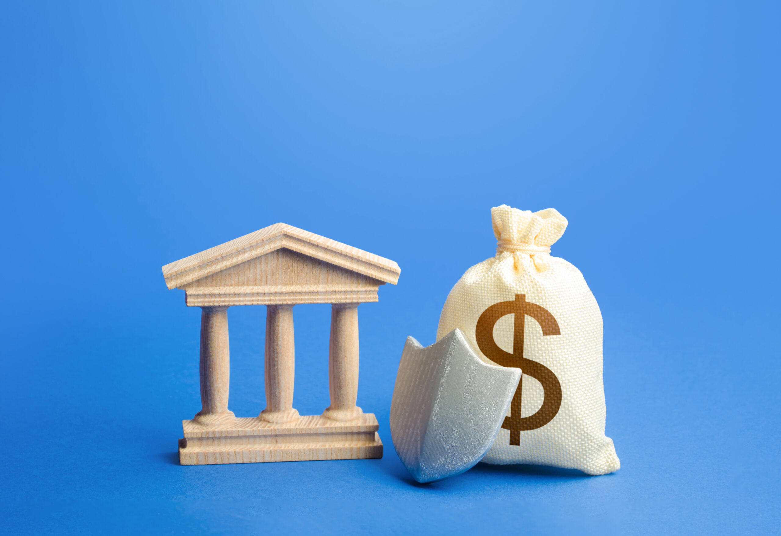 Guaranteed protection of dollar savings in the bank. Safety of investments. Retirement money funds. Stop Inflation. Secured loans and mortgages. Defense budget. Security and legality. Social support